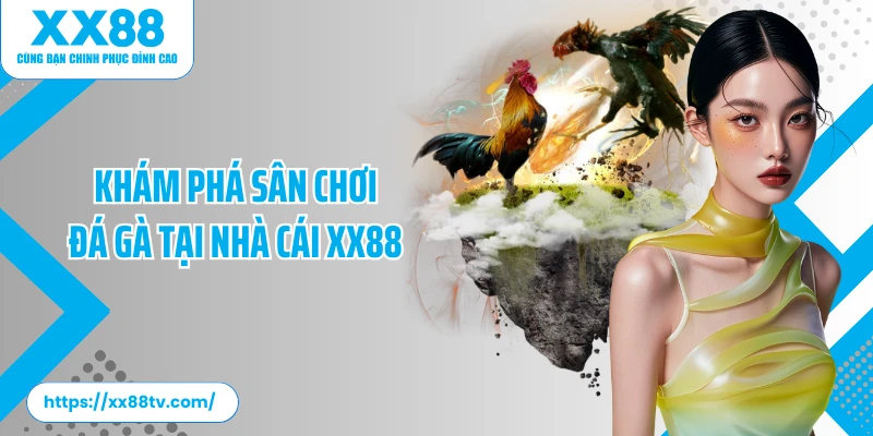 Khám phá sân chơi đá gà tại nhà cái XX88 